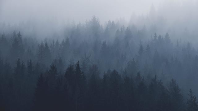 responsive-image