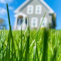 gallery/landscaping.jpg