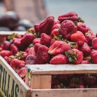 gallery/food-production.jpg